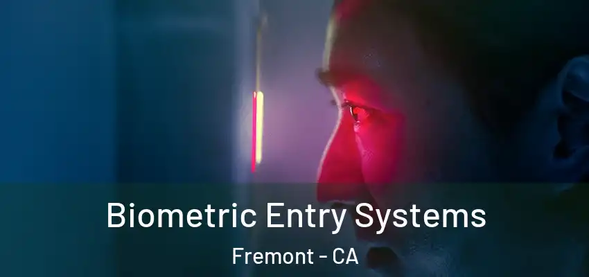 Biometric Entry Systems Fremont - CA
