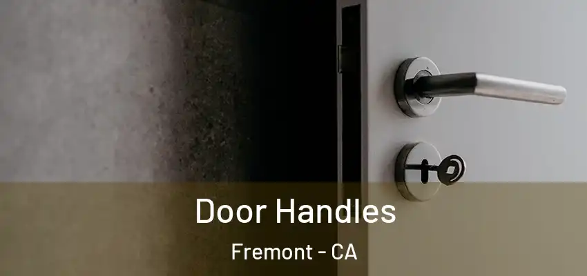 Door Handles Fremont - CA