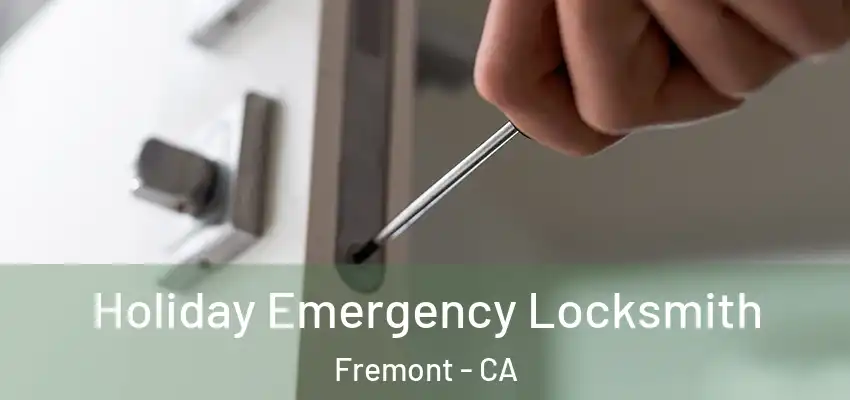 Holiday Emergency Locksmith Fremont - CA