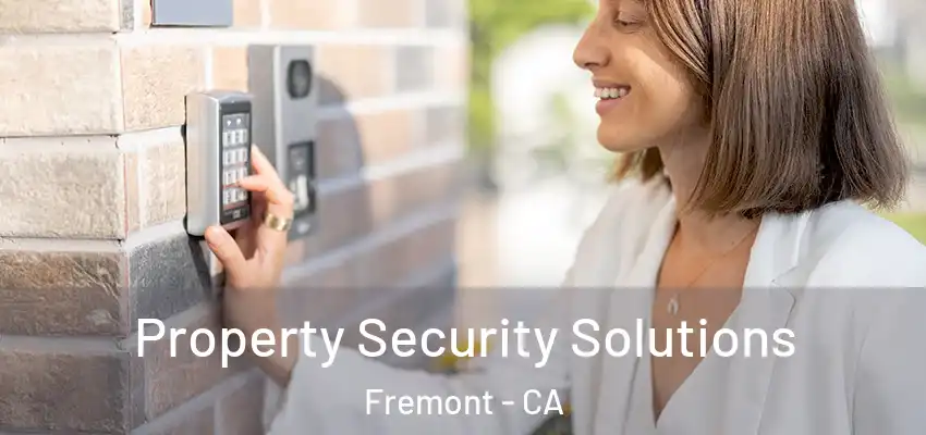 Property Security Solutions Fremont - CA